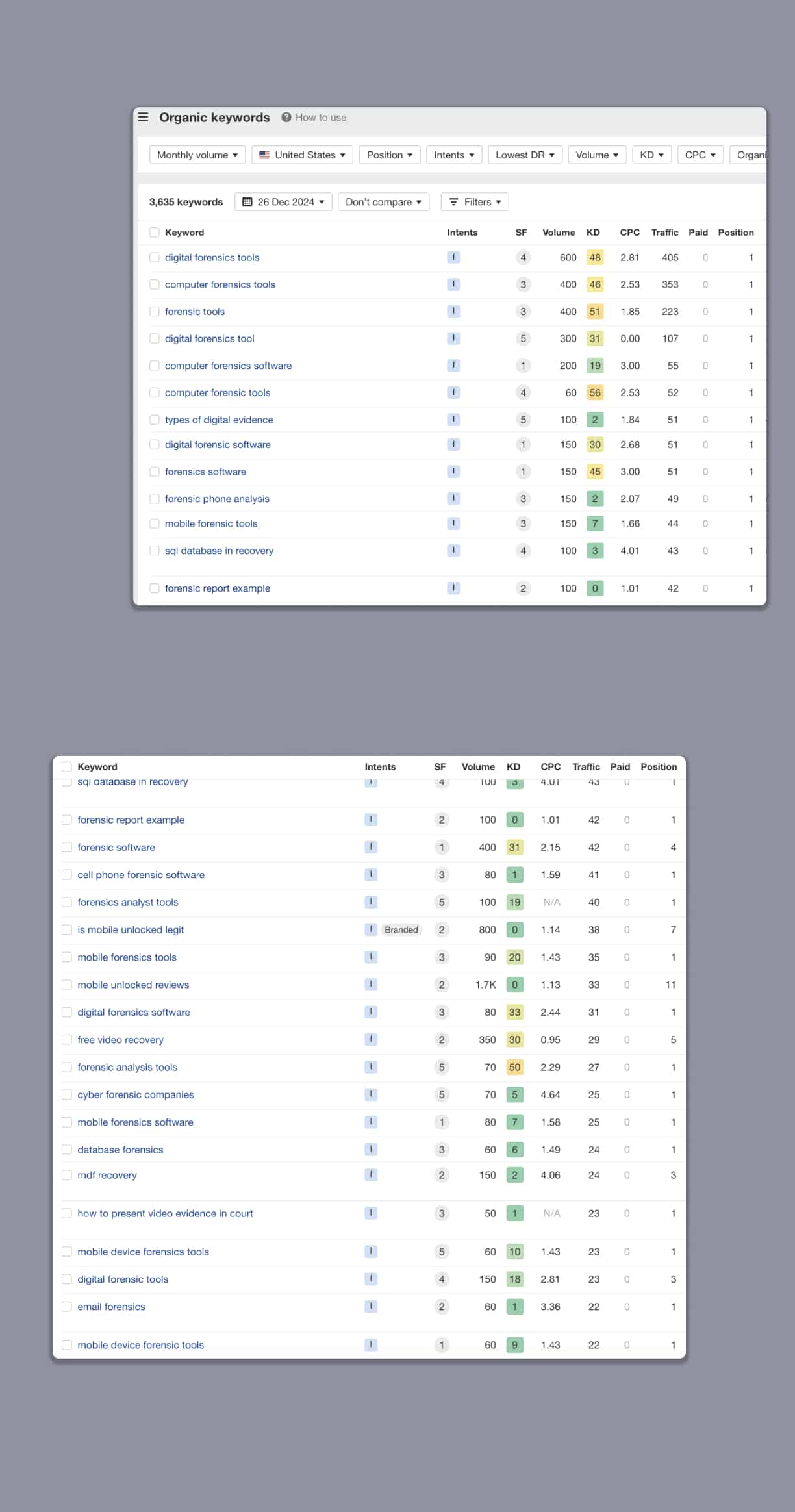 case study-seo-salvationdata-organic-keywords-rankings